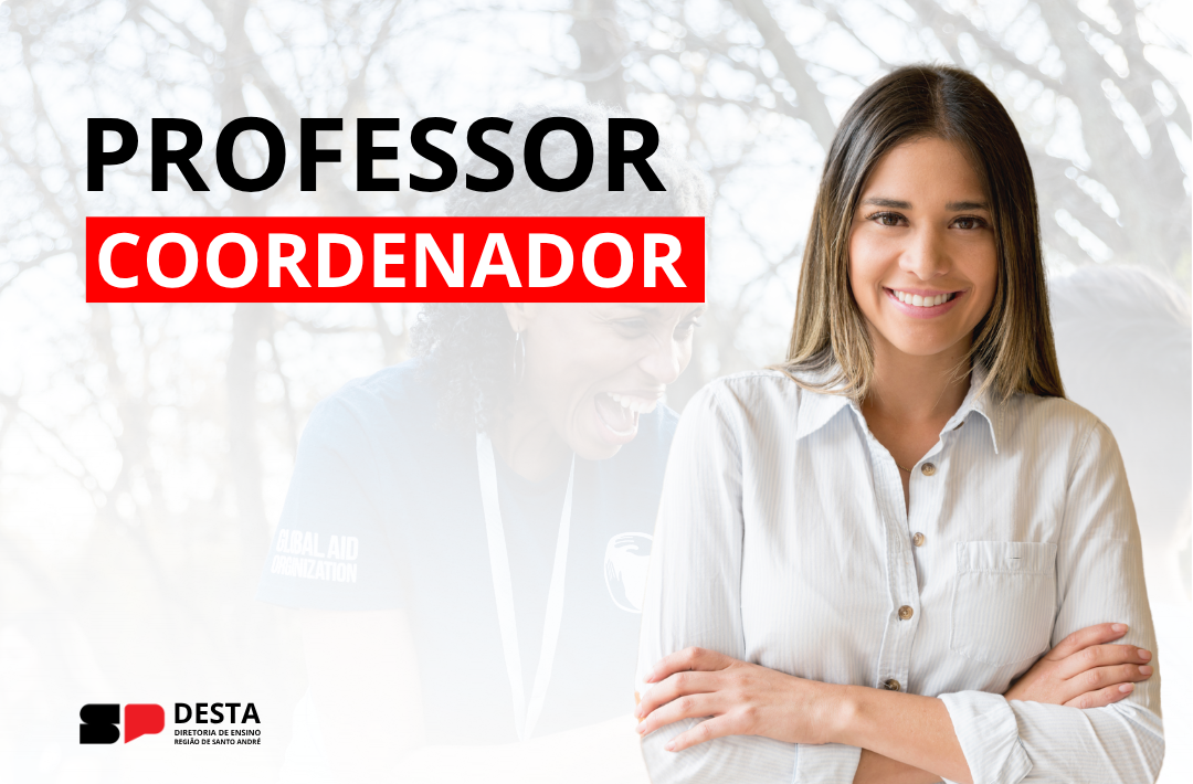 PROFESSOR COORDENADOR
