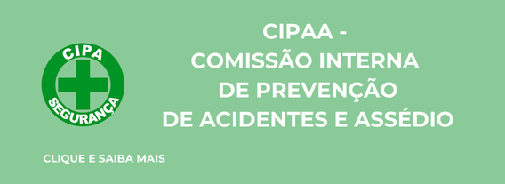 Descrição da Imagem 3