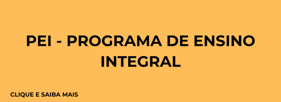 Descrição da Imagem 6