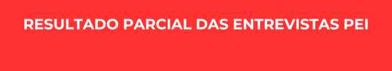 RESULTADO PARCIAL DAS ENTREVISTAS PEI