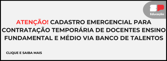 Descrição da Imagem 8